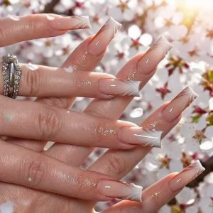 527569134_1361242038859396_8221412293358376428_n