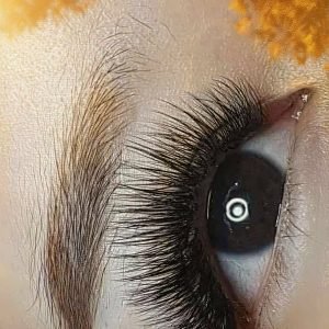 531791868_1588682262515081_729106533529070348_n