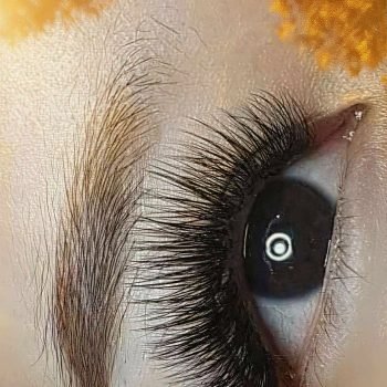 531791868_1588682262515081_729106533529070348_n